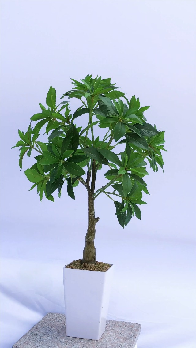 Amazon｜アセビ 馬酔木 75cm 人工観葉植物 フェイクグリーン 観葉植物
